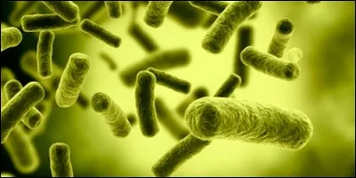 Il existe un vaccin contre la peste.