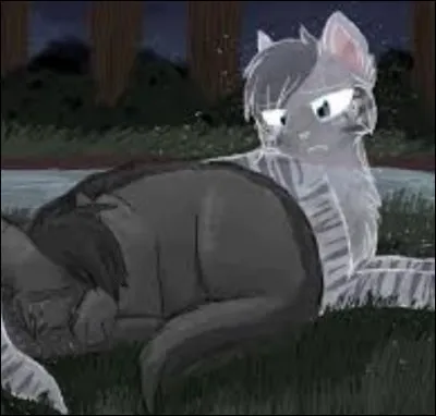 Étoile Bleue est devenue guerrière un peu après la mort de sa mère.