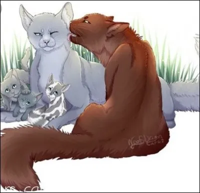 Étoile Bleue a eu trois chatons mais lors d'une traversée dans la neige, par un hiver glacial, l'un de ses chatons meurt de froid. Lequel ?