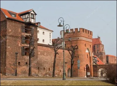 Cette ville polonaise, sur la Vistule, a été créée par les chevaliers teutoniques; elle conserve une grande partie de son enceinte du XVe siècle. Quelle est cette ville ?