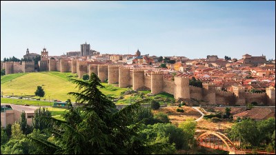 Cette ville espagnole est l'une des plus belles villes fortifiées d'Europe : elle est entourée d'une impressionnante muraille, construite au XIIe siècle, comptant 88 tours et 9 portes. Quelle est cette ville ?