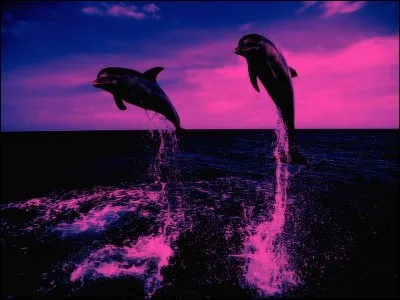 Quelle affirmation est fausse parmi celles-ci ?