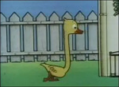 Vedette de l'une des premières bandes dessinées françaises, ce joli canard dessiné et dialogué par Benjamin Rabier (artiste admiré notamment par Hergé) et né en 1920, a pour prénom... ? (illustration tirée de la série de Michel Ocelot)