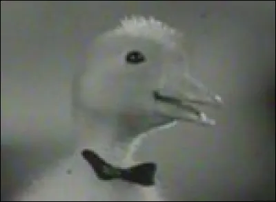 Jérôme Canard est un célèbre journaliste, qui officie dans le journal "Le canard enchaîné". Qui est-il ?