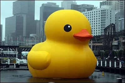 Le "Rubber duck" (canard en plastique) est une oeuvre artistique de Florentjin Hofman, un néerlandais, qui est présentée partout dans le monde (ici à Sydney). Quelle est la taille de ce bon gros canard ?