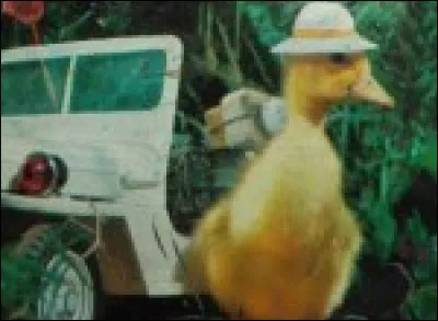 Les enfants des années 60 avaient beaucoup de chance, car ils bénéficiaient de nombreuses créations télévisuelles faites pour eux, souvent poétiques et drôles. Ce fameux caneton adorable et malin, aidé par la voix du comédien et chanteur Ricet Barrier, inoubliable, qui cherchait à échapper aux coups fourrés de Belette, s'appelle.. ?