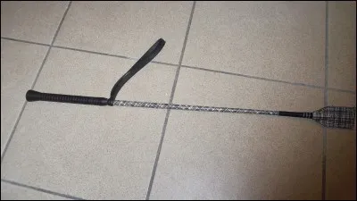 Regarde la photo. Comment s'appelle cet objet ?