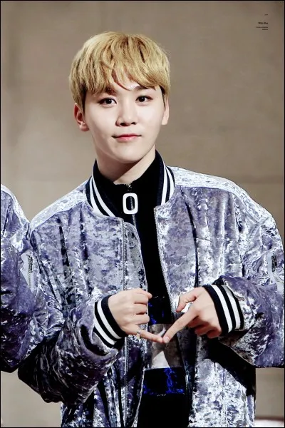 D'où vient Seungkwan (Seventeen) ?