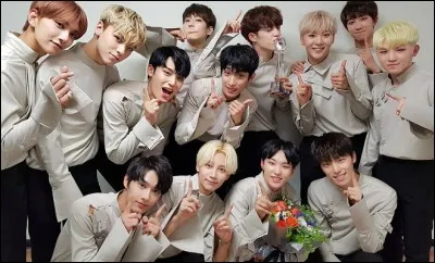 Quelles chansons des "Super juniors" ont reprises Seventeen ?