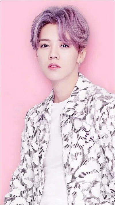 Dans quel film a joué Liban, ancien membre des EXO ?