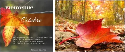 Quelle uvre a pour titre "Octobre rouge" ?