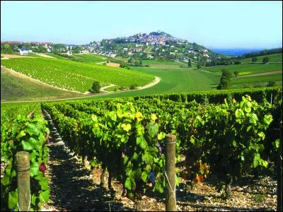 Quelle liste des vignobles berrichons est la bonne ?