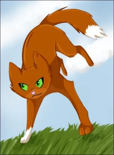 Quand Nuage d'Écureuil devient apprentie, quel est son caractère ?