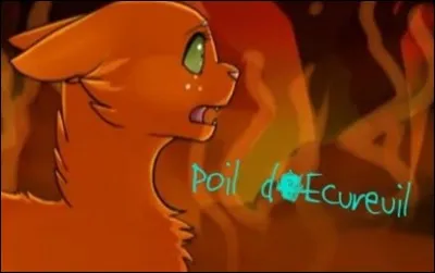 Poil d'Écureuil est-elle triste quand Pelage de Granit meurt ? (après la révélation de Poil d'Écureuil dans l'incendie car Pelage de Granit l'a coincée avec Pelage de Lion, il de Geai et Feuille de Houx)