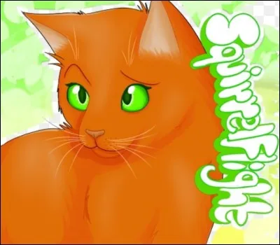 Allez, un peu d'anglais avec Poil d'Écureuil. 
Quel est son nom en version anglaise ? (sachant qu'Erin Hunter est anglaise, pour ceux qui l'ignoraient)