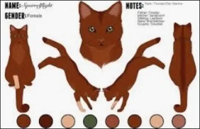 Poil d'Écureuil est la lieutenante du Clan du Tonnerre.