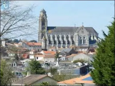 Ville des Pays-de-la-Loire, dans le pays du vignoble Nantais, Vallet se trouve dans le département ...