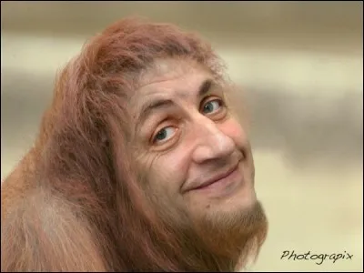 Dans la mystérieuse forêt congolaise, on vient de découvrir une nouvelle race de primate !