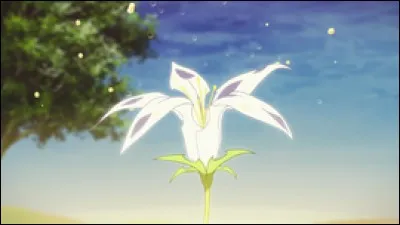 Quelle est cette fleur ?