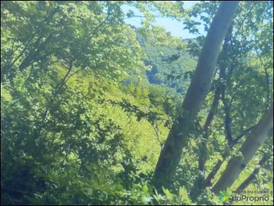 Comment meurt Rivière d'Argent ?