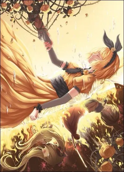 Quel âge a la princesse du royaume ?