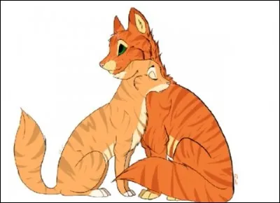 Au camp , Nuage de Feu hésite à rentrer chez ses bipèdes