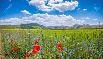 Lequel de ces mixtes de paysages préfères-tu, pour une ville ?