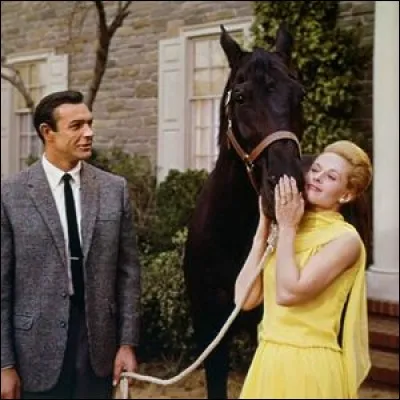 Mark Rutland sait qu'à chaque nouvel emploi, Marnie Edgar déleste ses employeurs, fasciné par sa beauté, il décide pourtant de l'épouser...Il s'agit de ...