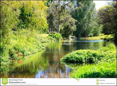 "Que la terre se couvre de verdure, de l'herbe portant sa semence, et de chaque espèce d'arbre produisant du fruit, portant chacun sa semence, partout sur la Terre."
A quel moment se passe cette action ?