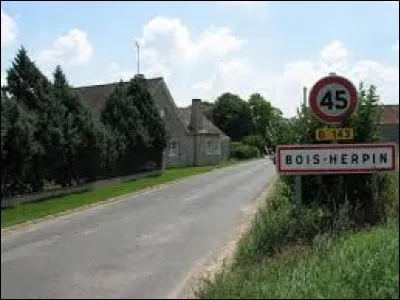 Nous sommes en Essonne &agrave; l'entr&eacute;e de Bois-Herpin. Petit village de 76 habitants, il se trouve en r&eacute;gion ...