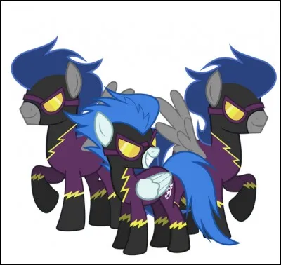 Comment s'appellent ces poneys ?