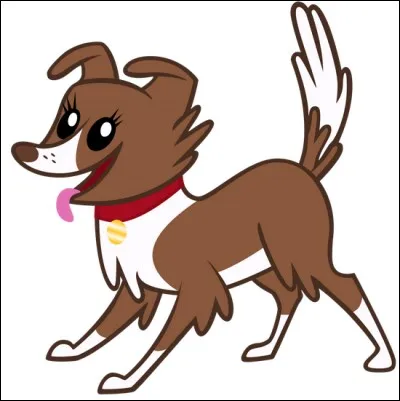 À qui appartient ce chien ?