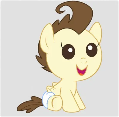 Qui est la mère de ce petit poney ?