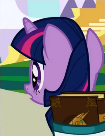Comment s'appelaient les amies de Twilight à Canterlot ?