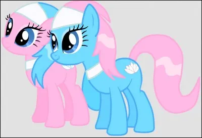 Comment s'appellent les deux surs du SPA de Ponyville ?