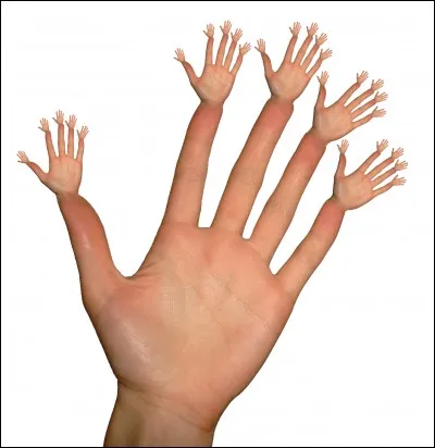 Quelle partie de la main est très sensible au toucher ?