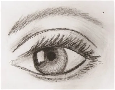 Sur quelle partie de l'il les images se forment-elles à l'envers ?