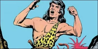 Dans la bande dessinée "Zembla", qui est Pétoulet ?