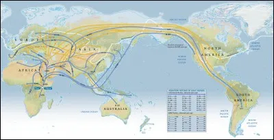 Les premiers hommes sont apparus en :