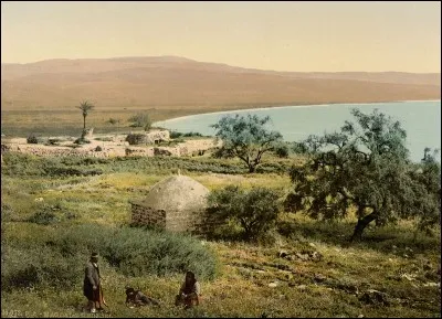 Les Magdaléniens chassent :