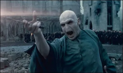 Qui incarne Voldemort ?