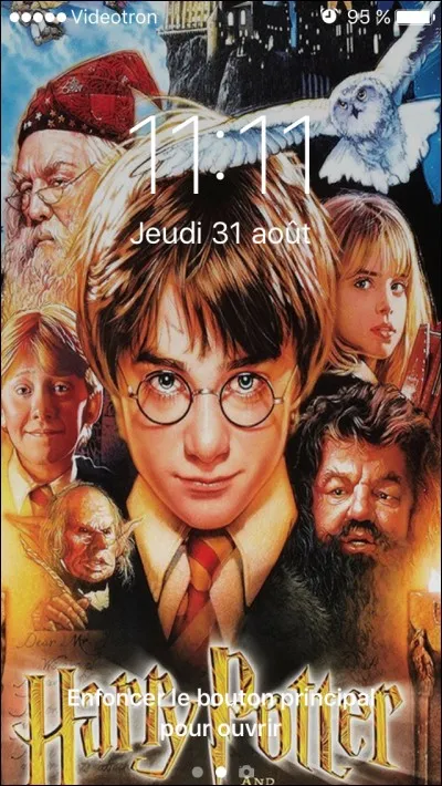 Quel est l'acteur qui interprète Harry Potter ?