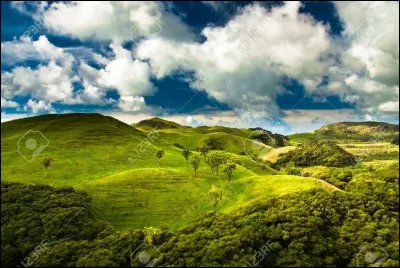 Dans quel « paysage » vis-tu ?