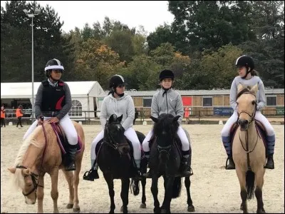 Quelle est ta spécialité ?