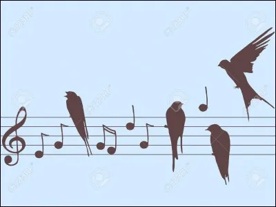 Ils aiment courir et la musique pop.