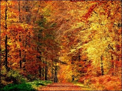 D'accord, je ne mettrai aucuns trucs pour rendre les questions plus compréhensives. C'est promis !