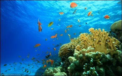 J'entends déjà les commentaires des personnes très fâchées après moi.