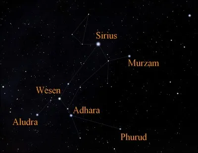 C'est grâce au 9e arrondissement marseillais que vous allez découvrir l'identité de cet animal !