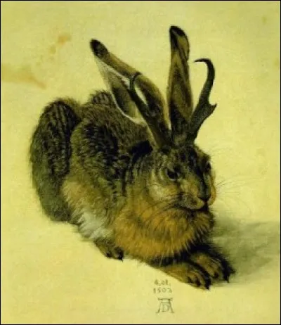 Ce dessin, Le lièvre "cornu" (légende du jackalope ou wolpertinger), serait un détournement de l'oeuvre Le lièvre, signée d'un grand artiste. Qui est le dessinateur de génie du "Lièvre" ?