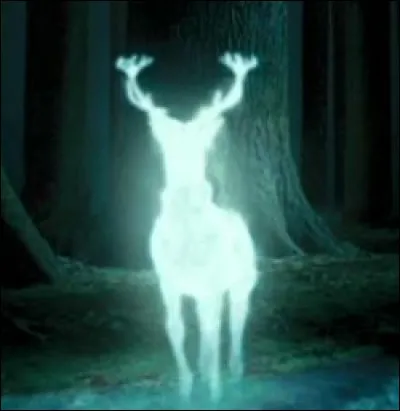 Cette magnifique bête à cornes, qui brille dans la nuit de la forêt, est un patronus, terme familier aux fans de la saga Harry Potter. De qui ce cerf est-il le patronus ?